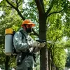 Обработка деревьев