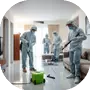 Дезинфекция квартир