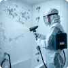 Дезинфекция плесени