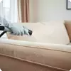 Химчистка мебели